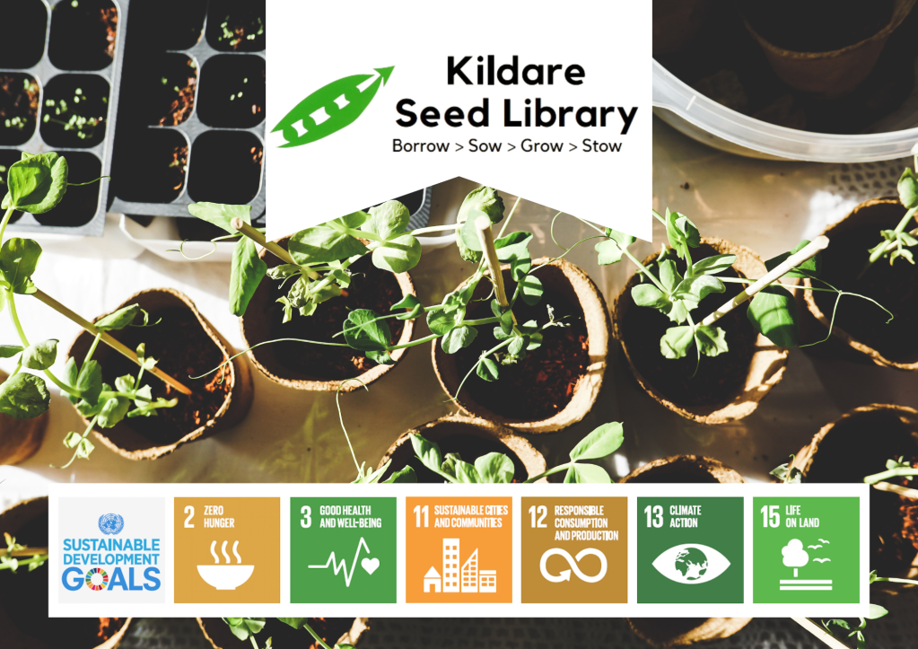 Launch of Kildare Seed Library 2024